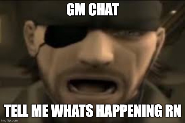 i wanna know | GM CHAT; TELL ME WHATS HAPPENING RN | image tagged in naked snake scream | made w/ Imgflip meme maker