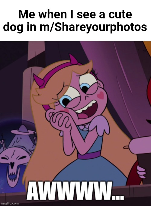 Star Butterfly “Awwwww…” | Me when I see a cute dog in m/Shareyourphotos | image tagged in star butterfly awwwww | made w/ Imgflip meme maker