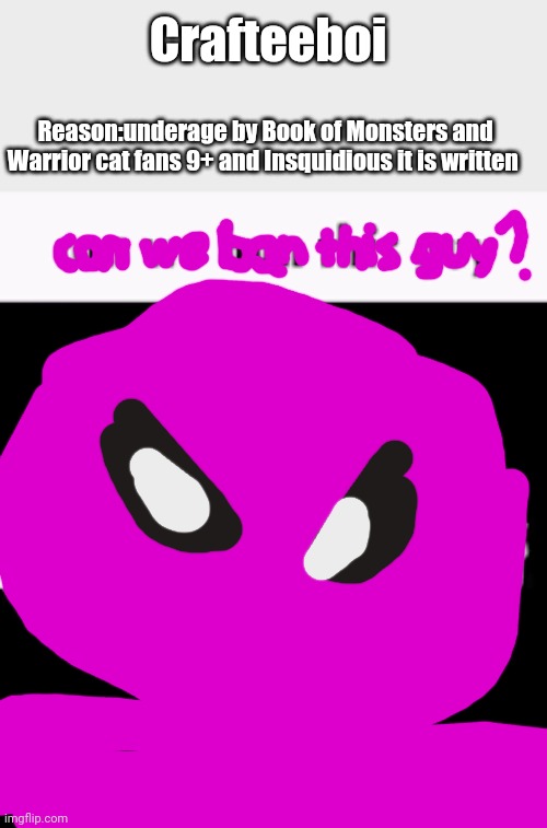 Insquidious, can we ban this guy? | Crafteeboi; Reason:underage by Book of Monsters and Warrior cat fans 9+ and Insquidious it is written | image tagged in can we ban this guy,insquidious | made w/ Imgflip meme maker