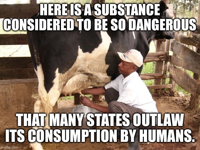 Raw milk is not dangerous | HERE IS A SUBSTANCE CONSIDERED TO BE SO DANGEROUS; THAT MANY STATES OUTLAW ITS CONSUMPTION BY HUMANS. | image tagged in cow milking | made w/ Imgflip meme maker