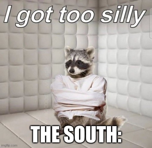 The South fr | THE SOUTH: | image tagged in america,civil war,silly | made w/ Imgflip meme maker
