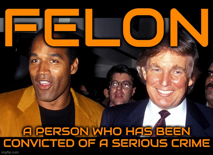 F E L O N | FELON; A PERSON WHO HAS BEEN CONVICTED OF A SERIOUS CRIME | image tagged in felon,criminal,crook,delinquent,perpetrator,convict | made w/ Imgflip meme maker