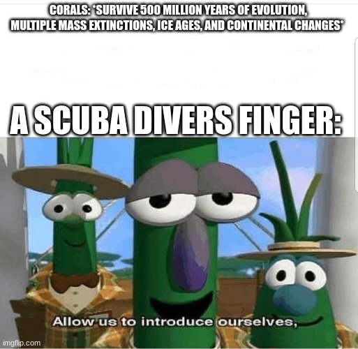 500 million years wasted | CORALS: *SURVIVE 500 MILLION YEARS OF EVOLUTION, MULTIPLE MASS EXTINCTIONS, ICE AGES, AND CONTINENTAL CHANGES*; A SCUBA DIVERS FINGER: | image tagged in allow us to introduce ourselves | made w/ Imgflip meme maker