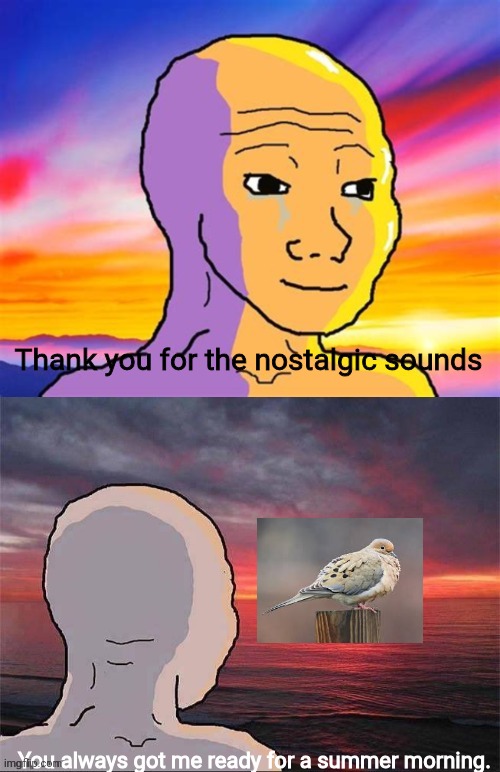 Wojak Nostalgia | Thank you for the nostalgic sounds; You always got me ready for a summer morning. | image tagged in wojak nostalgia | made w/ Imgflip meme maker