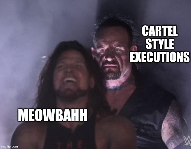 undertaker | CARTEL STYLE EXECUTIONS MEOWBAHH | image tagged in undertaker | made w/ Imgflip meme maker