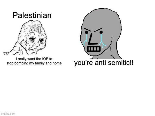 that word has no importance honestly | Palestinian; you're anti semitic!! i really want the IOF to stop bombing my family and home | made w/ Imgflip meme maker