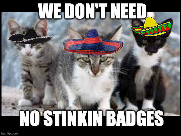 No approval needed | WE DON'T NEED; NO STINKIN BADGES | image tagged in permission bane | made w/ Imgflip meme maker