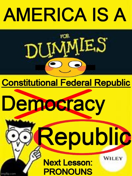Anybody Else React Like Fingernails on a Chalkboard as They Rename & Redefine? | AMERICA IS A; ______________________; Constitutional Federal Republic; Democracy; Republic; Next Lesson:
PRONOUNS | image tagged in america,republic,democracy,for dummies,for dummies book,political humor | made w/ Imgflip meme maker
