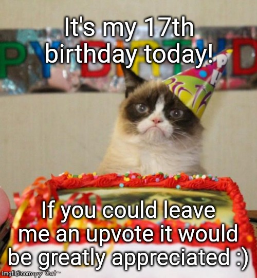 Because on your birthday is the only day where its acceptable to upvote beg lol | It's my 17th birthday today! If you could leave me an upvote it would be greatly appreciated :) | image tagged in memes,grumpy cat birthday,grumpy cat,birthday,upvote,happy birthday | made w/ Imgflip meme maker