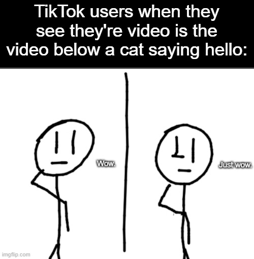 they've had enough of cats | TikTok users when they see they're video is the video below a cat saying hello: | image tagged in wow just wow,tiktok,cats,funny | made w/ Imgflip meme maker