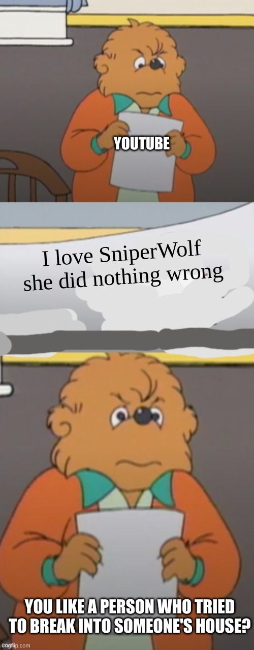 Toasty | YOUTUBE; I love SniperWolf she did nothing wrong; YOU LIKE A PERSON WHO TRIED TO BREAK INTO SOMEONE'S HOUSE? | image tagged in the berenstain bears angry teacher | made w/ Imgflip meme maker