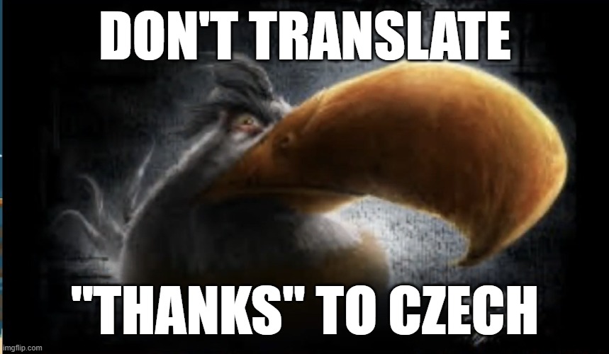 Please don't. | DON'T TRANSLATE; ''THANKS'' TO CZECH | image tagged in realistic mighty eagle | made w/ Imgflip meme maker