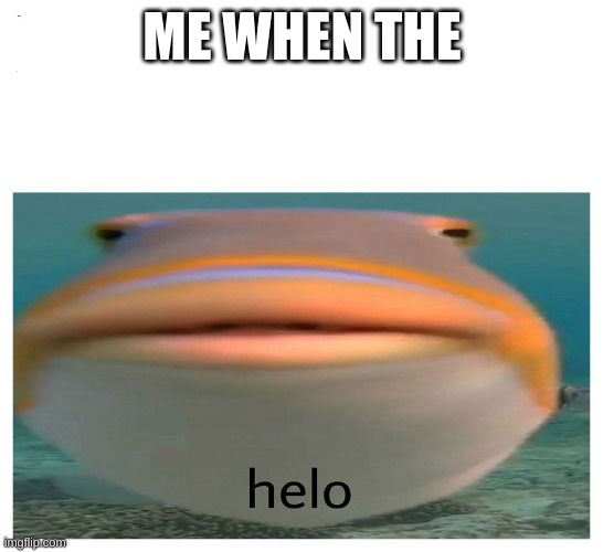Me when the | ME WHEN THE | image tagged in helo fish,f i s h | made w/ Imgflip meme maker