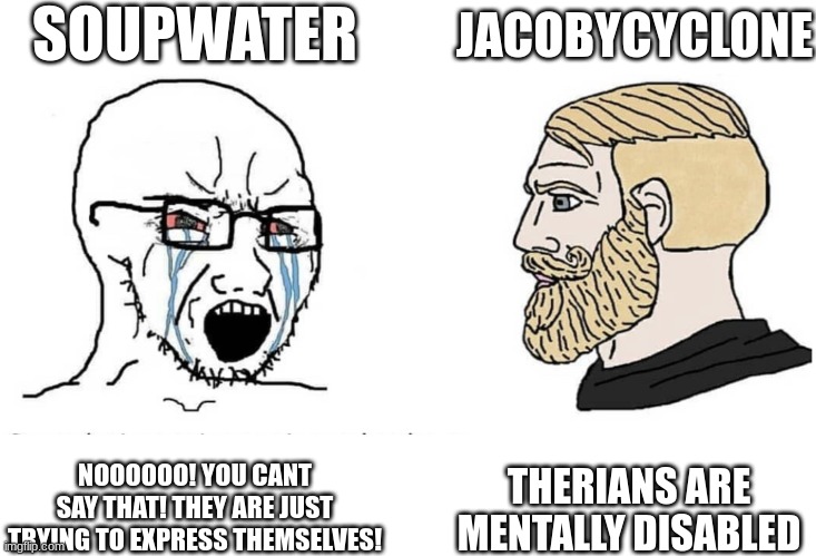 do something about it soupwater | SOUPWATER; JACOBYCYCLONE; THERIANS ARE MENTALLY DISABLED; NOOOOOO! YOU CANT SAY THAT! THEY ARE JUST TRYING TO EXPRESS THEMSELVES! | image tagged in soyboy vs yes chad | made w/ Imgflip meme maker