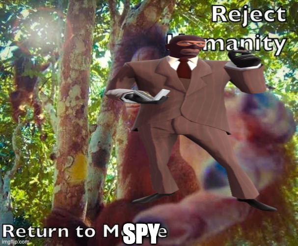 Return to monke | SPY | image tagged in return to monke | made w/ Imgflip meme maker