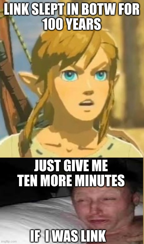 Offended Link | LINK SLEPT IN BOTW FOR
100 YEARS; JUST GIVE ME TEN MORE MINUTES; IF  I WAS LINK | image tagged in offended link | made w/ Imgflip meme maker