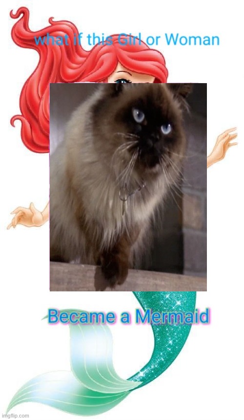 if sassy became a mermaid | image tagged in what if this girl or woman became a mermaid,cats,disney | made w/ Imgflip meme maker