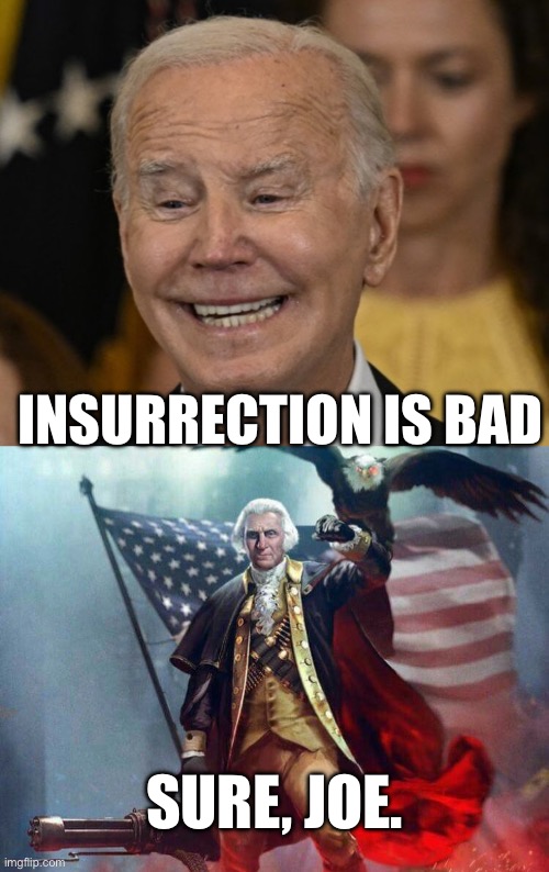 Insurrection | INSURRECTION IS BAD; SURE, JOE. | image tagged in joe biden dementia joe,george washington eagle | made w/ Imgflip meme maker