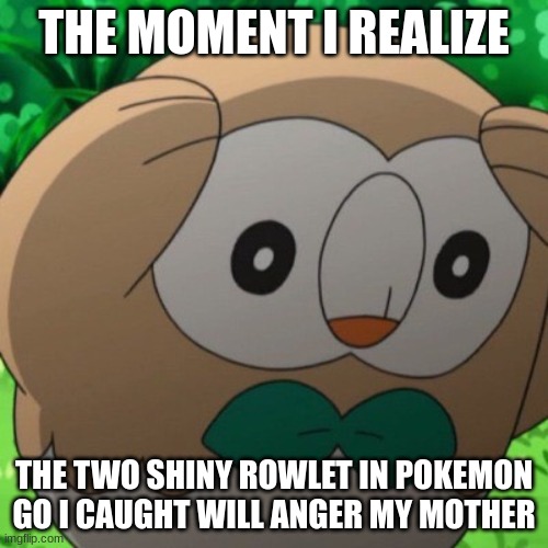 I caught two shiny rowlet + an XXL | THE MOMENT I REALIZE; THE TWO SHINY ROWLET IN POKEMON GO I CAUGHT WILL ANGER MY MOTHER | image tagged in rowlet meme template,pokemon go | made w/ Imgflip meme maker