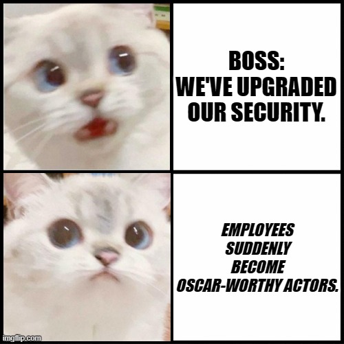 cute white cat template | BOSS: WE'VE UPGRADED OUR SECURITY. EMPLOYEES SUDDENLY BECOME OSCAR-WORTHY ACTORS. | image tagged in cute white cat template | made w/ Imgflip meme maker