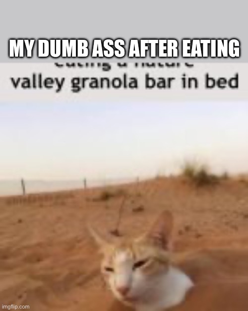 Granola bars | MY DUMB ASS AFTER EATING | image tagged in ariana grande | made w/ Imgflip meme maker