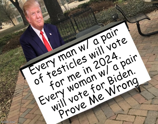He's Not Wrong | Every man w/ a pair 
of testicles will vote
for me in 2024. Every woman w/ a pair 
will vote for Biden. Prove Me Wrong | image tagged in political humor,donald trump,joe biden,testicles,men and women,know the difference | made w/ Imgflip meme maker