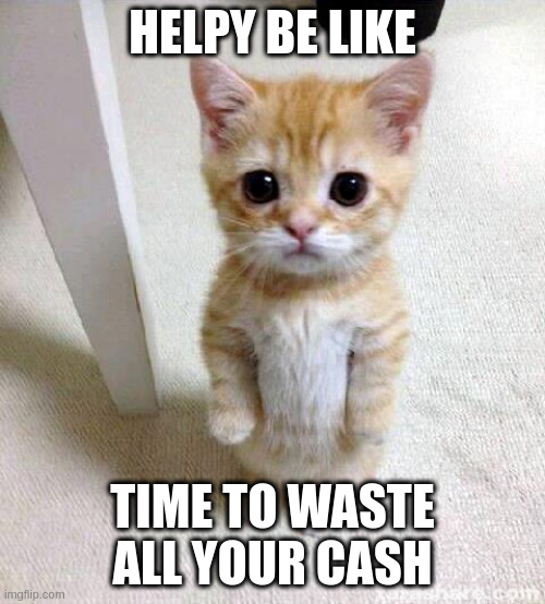 Cute Cat | HELPY BE LIKE; TIME TO WASTE ALL YOUR CASH | image tagged in memes,cute cat | made w/ Imgflip meme maker