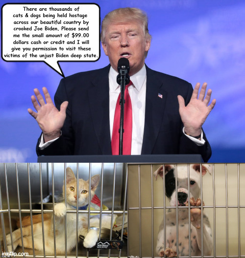 Trump Hostage Fund | There are thousands of cats & dogs being held hostage  across our beautiful country by crooked Joe Biden, Please send me the small amount of $99.00 dollars cash or credit and I will give you permission to visit these victims of the unjust Biden deep state. | image tagged in donald trump,maga,hostages,victims,prisoners,scam | made w/ Imgflip meme maker