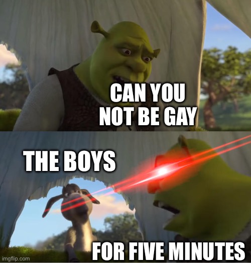 Gay | CAN YOU NOT BE GAY; THE BOYS; FOR FIVE MINUTES | image tagged in shrek for five minutes | made w/ Imgflip meme maker