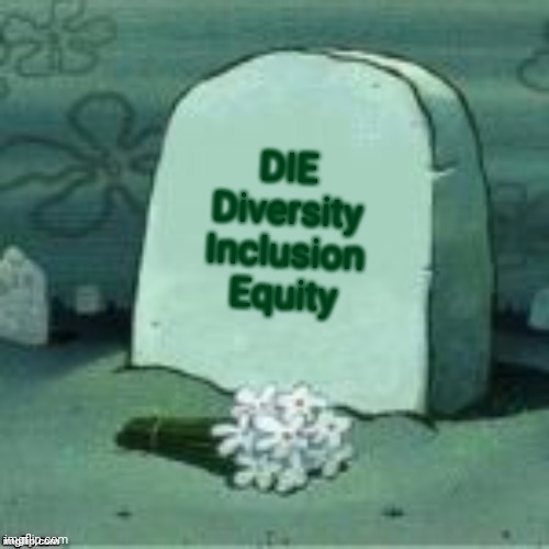Here Lies X | DIE
Diversity
Inclusion
Equity | image tagged in here lies x | made w/ Imgflip meme maker