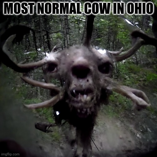 MOST NORMAL COW IN OHIO | made w/ Imgflip meme maker
