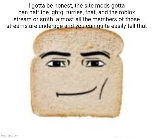 like bro you can tell if someones under 13 by how they talk online | I gotta be honest, the site mods gotta ban half the lgbtq, furries, fnaf, and the roblox stream or smth. almost all the members of those streams are underage and you can quite easily tell that | image tagged in man face bread | made w/ Imgflip meme maker