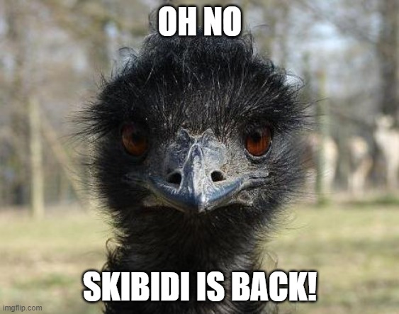 he just posted new memes and more offensive comments | OH NO; SKIBIDI IS BACK! | image tagged in bad news emu,skibiditoiletistherizzz | made w/ Imgflip meme maker