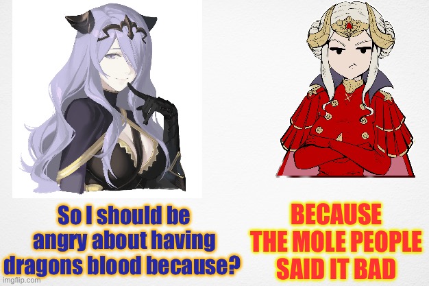 Based Camilla meets Npc Edelgard | BECAUSE THE MOLE PEOPLE SAID IT BAD; So I should be angry about having dragons blood because? | image tagged in fire emblem,based,angry npc wojak,memes | made w/ Imgflip meme maker