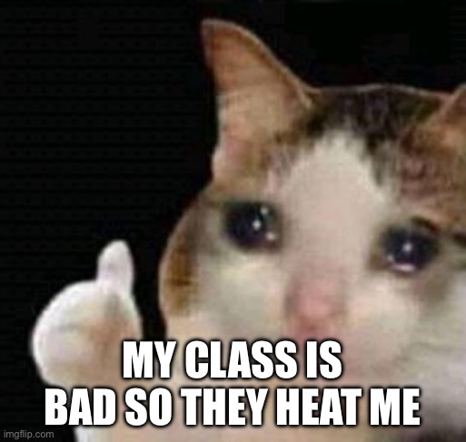 Hi | MY CLASS IS BAD SO THEY HEAT ME | image tagged in sad thumbs up cat | made w/ Imgflip meme maker