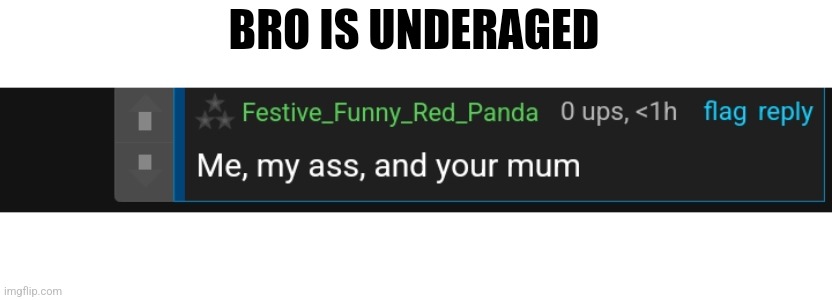 He speaks like an underage user | BRO IS UNDERAGED | made w/ Imgflip meme maker