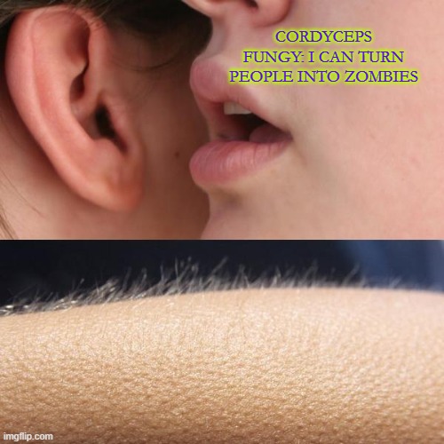 Whisper and Goosebumps | CORDYCEPS FUNGY: I CAN TURN PEOPLE INTO ZOMBIES | image tagged in whisper and goosebumps | made w/ Imgflip meme maker