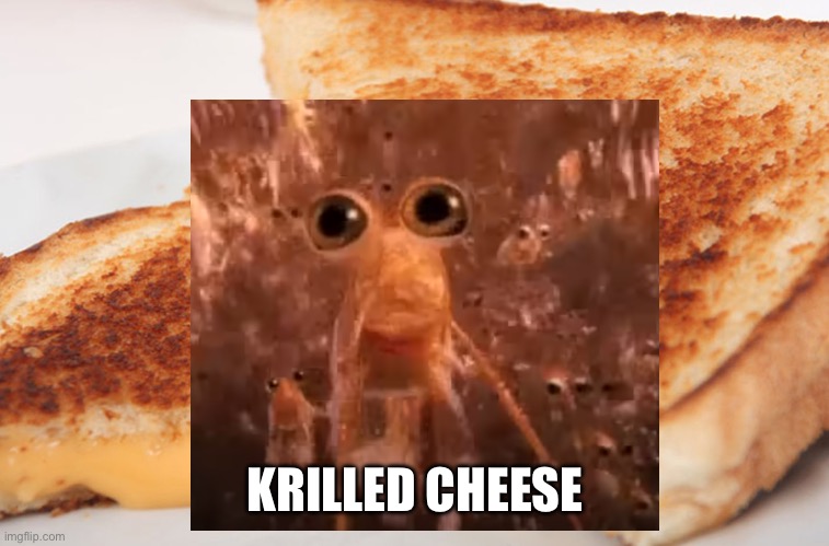 Grilled Cheese | KRILLED CHEESE | image tagged in grilled cheese | made w/ Imgflip meme maker