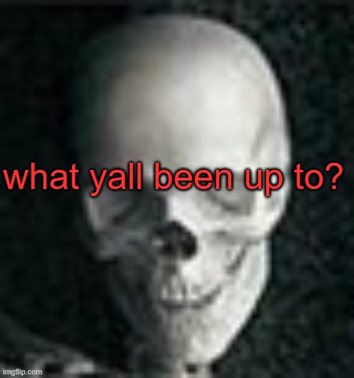 . | what yall been up to? | image tagged in skull | made w/ Imgflip meme maker