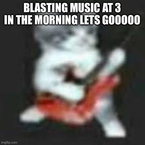 BLASTING MUSIC AT 3 IN THE MORNING LETS GOOOOO | image tagged in cats | made w/ Imgflip meme maker