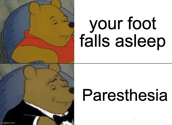 Tuxedo Winnie The Pooh Meme | your foot falls asleep; Paresthesia | image tagged in memes,tuxedo winnie the pooh | made w/ Imgflip meme maker
