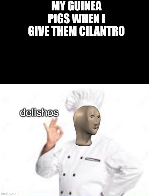 Cilantro is like my guinea pigs' drug. THEY LOVE IT | MY GUINEA PIGS WHEN I GIVE THEM CILANTRO | image tagged in delishos meme man | made w/ Imgflip meme maker