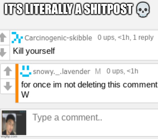 IT'S LITERALLY A SHITPOST 💀 | made w/ Imgflip meme maker