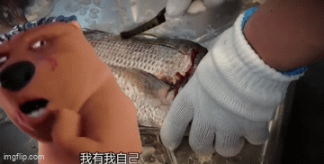 Shellfish Rude Gif Animated GIF - Imgflip