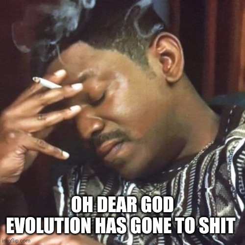 Andre 3000 Smoking | OH DEAR GOD
EVOLUTION HAS GONE TO SHIT | image tagged in andre 3000 smoking | made w/ Imgflip meme maker