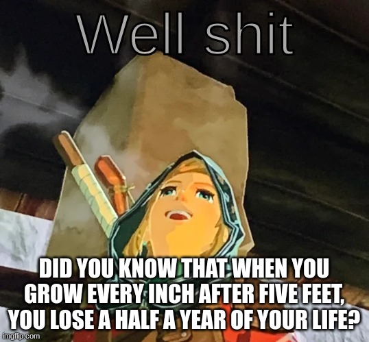 Link well sHiT | DID YOU KNOW THAT WHEN YOU GROW EVERY INCH AFTER FIVE FEET, YOU LOSE A HALF A YEAR OF YOUR LIFE? | image tagged in link well shit | made w/ Imgflip meme maker