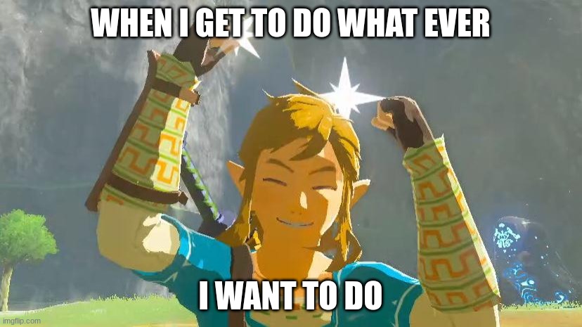 happy link | WHEN I GET TO DO WHAT EVER; I WANT TO DO | image tagged in happy link | made w/ Imgflip meme maker