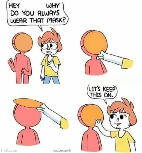 Why Do you always wear that mask? | image tagged in why do you always wear that mask | made w/ Imgflip meme maker