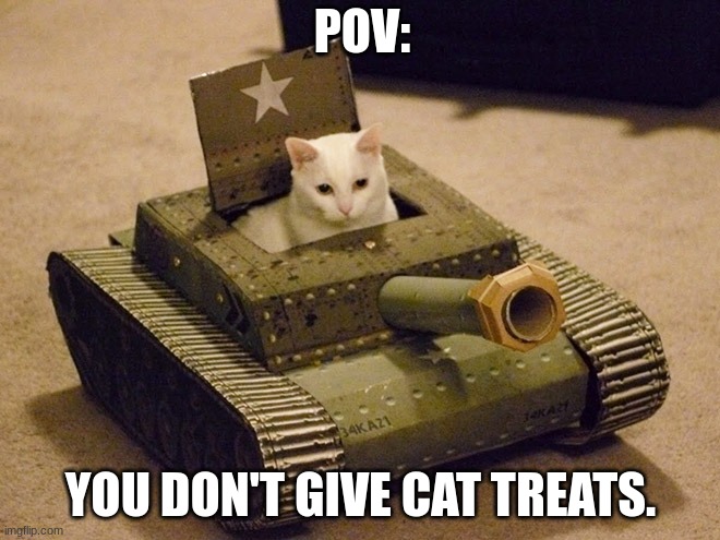 E | POV:; YOU DON'T GIVE CAT TREATS. | image tagged in cat tonk | made w/ Imgflip meme maker
