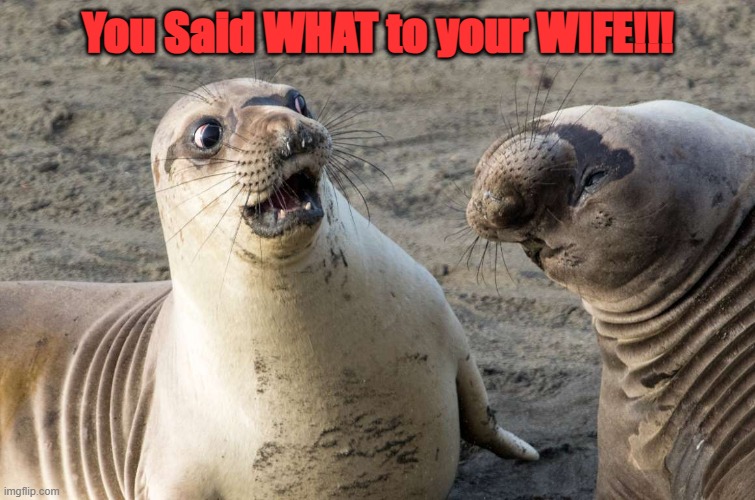 Scewed uo | You Said WHAT to your WIFE!!! | image tagged in say what | made w/ Imgflip meme maker